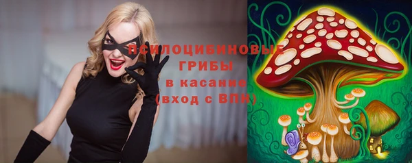 индика Алексин