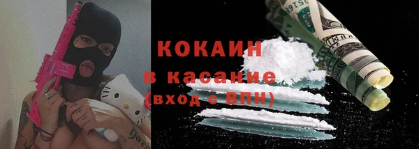 индика Алексин