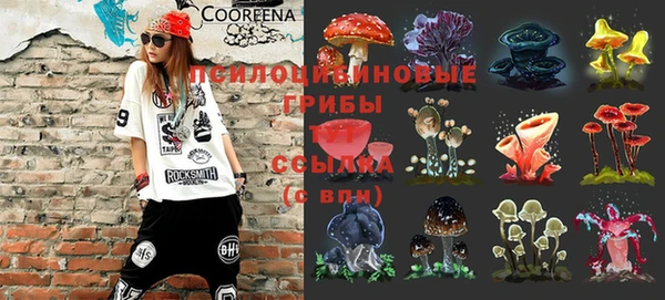 индика Алексин