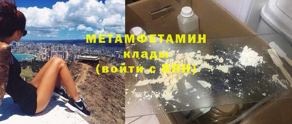 индика Алексин