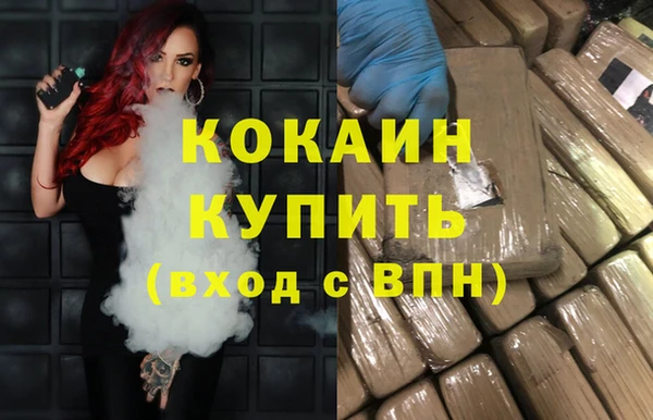хмурый Алзамай