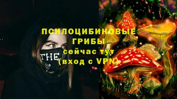 твердый Алексеевка