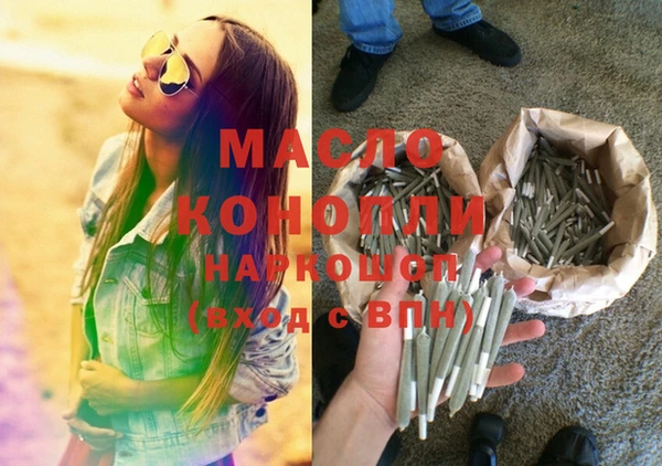 индика Алексин