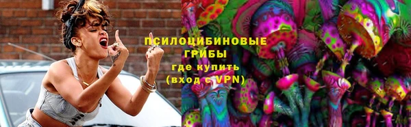 хмурый Алзамай