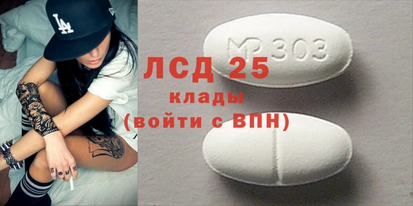 индика Алексин